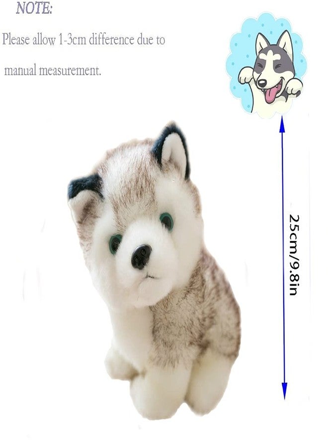 CHELEI2019 9.8" Stuffed Husky Dog Plush,Puppy Stuffed Animal Husky Adorable Gifts for Kids - Image 5